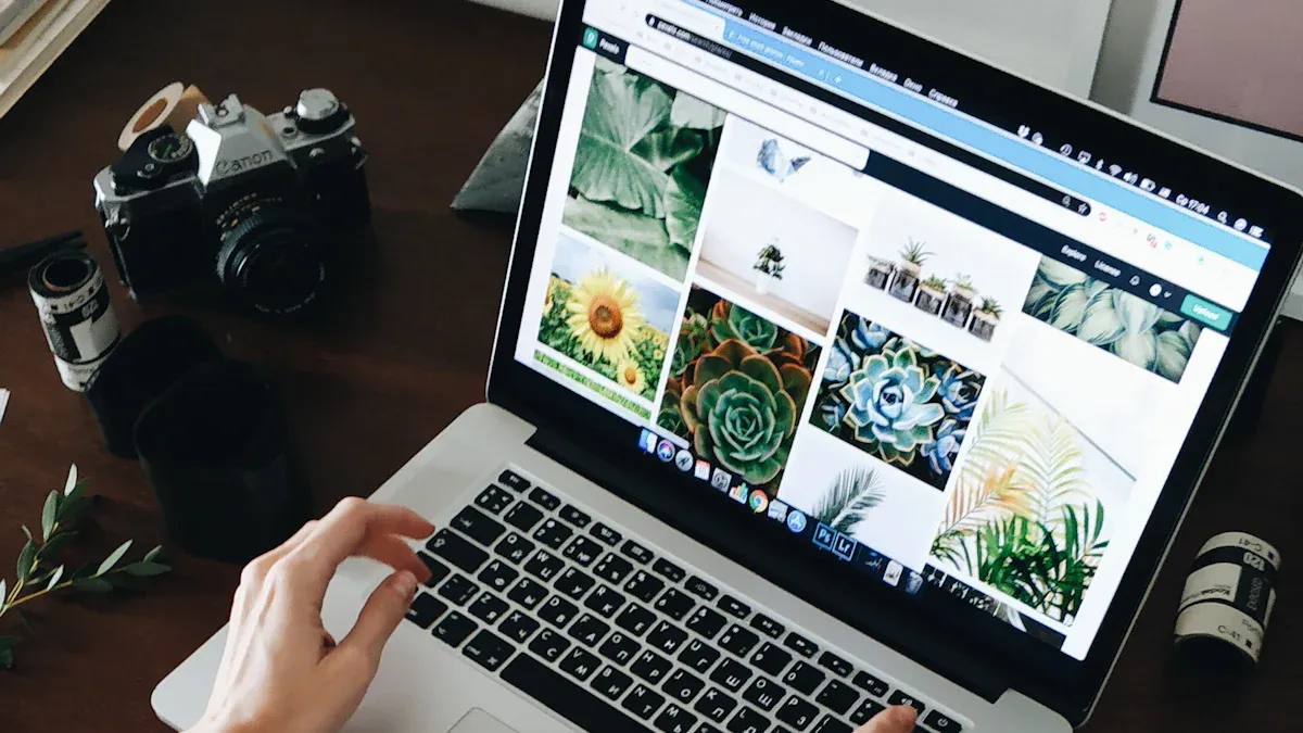 IP保护与网络接入