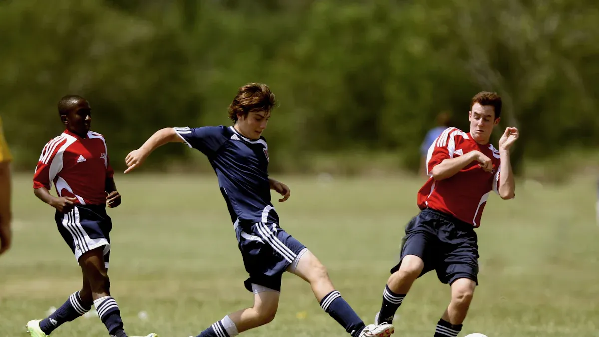 Short-Term Windfall or Long-Term Holding: Lifecycle Curve of Sports Concept Stocks Before and After Past World Cups