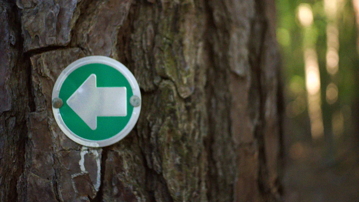 Anthropic API Binding Process