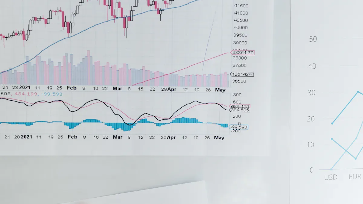 Market Environment & Investment Outlook