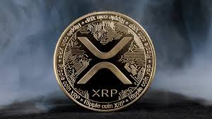 XRP ETF资金流入创2026年最长连涨纪录，投资者在押注什么？