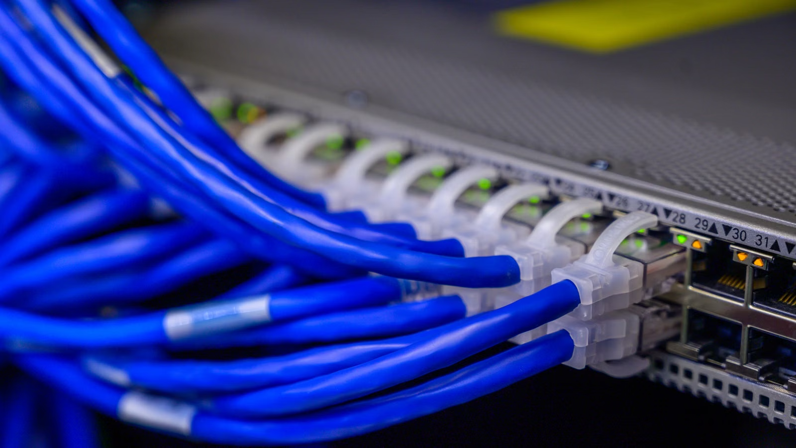Server and network transmission across the AI CAPEX value chain