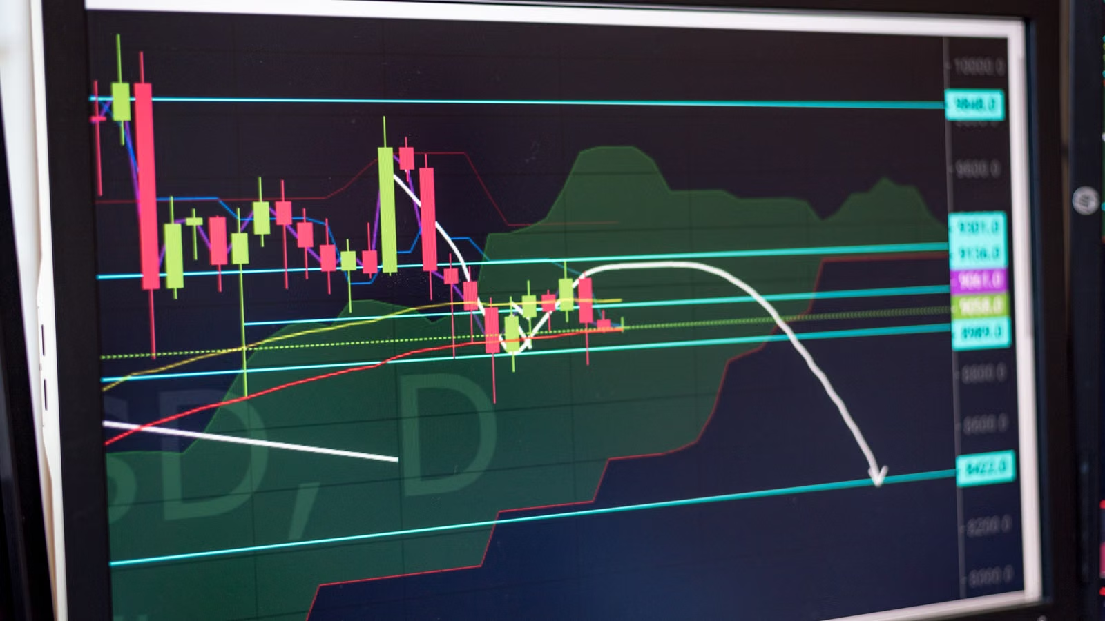 Agenus stock surge and market repricing